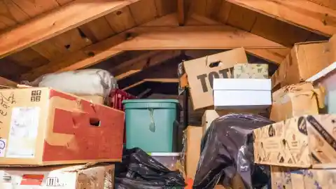 Putting Up The TreeThe Attic