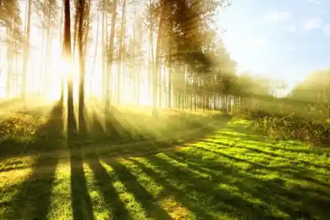 Early morning