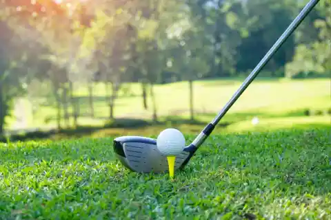 A New Hobby