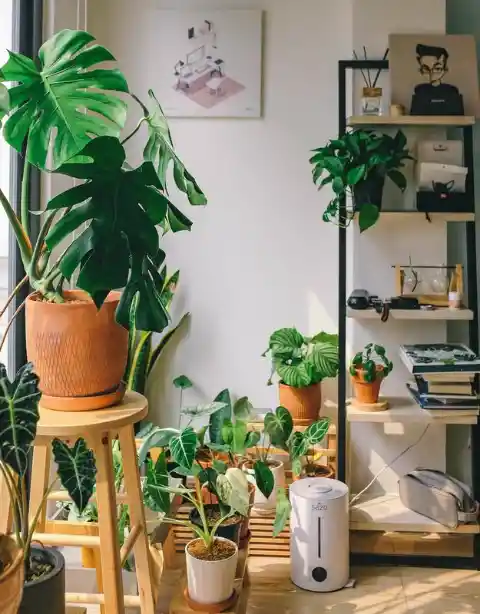 3 Apps That Help You Take Better Care of Your Plants