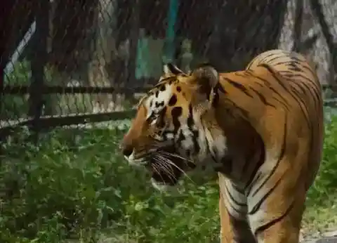 Slow Approach