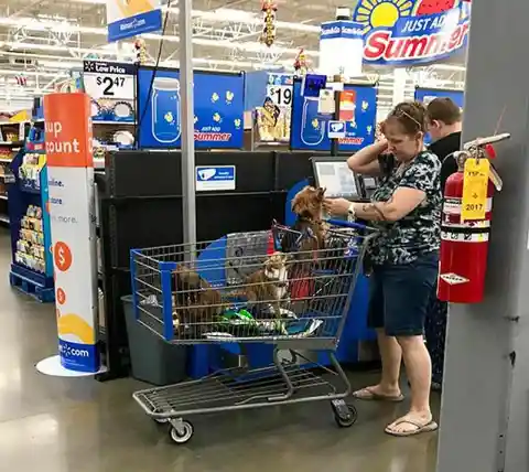 What's Going on With Walmart’s Greatest Customers?!