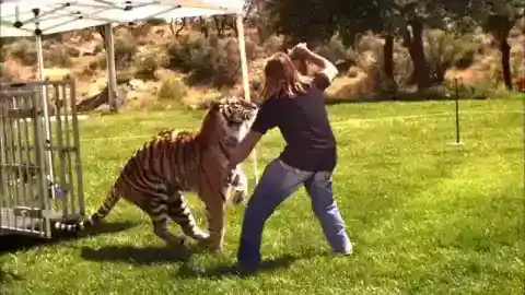 カーリーとの遊び時間