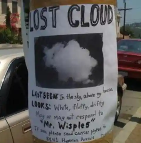 Missing Mr. Wisples