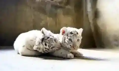 Maxi and Leli