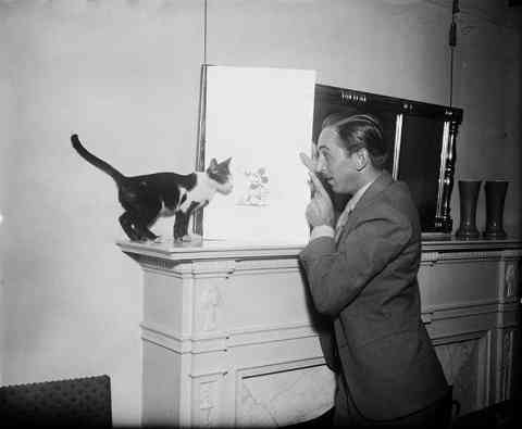 Walt Disney Presents Mickey Mouse to a Cat