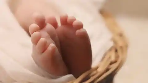 Adoption
