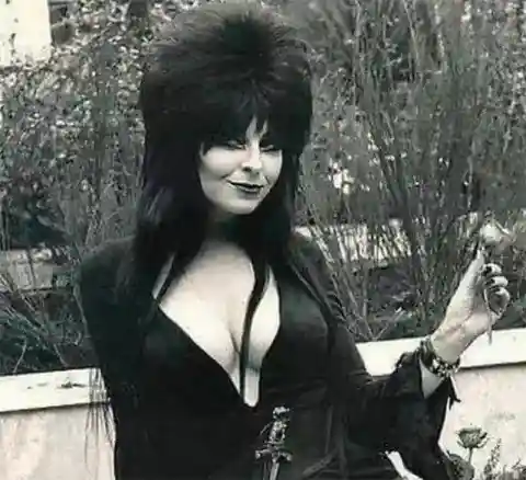 Elvira, Mistress of the Dark in Her Prime