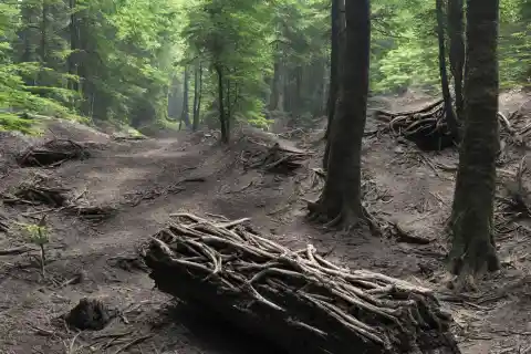 Discovering Something