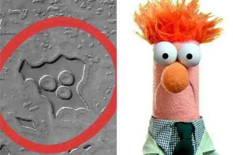 A Muppet on Mars