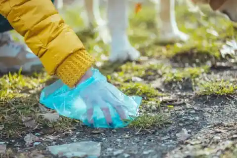 A new life