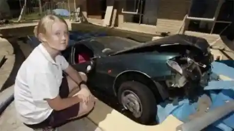 One Wild Ride
