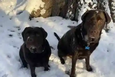 忘れられない夜