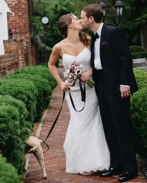 Hilarious Wedding Fails and Funnies