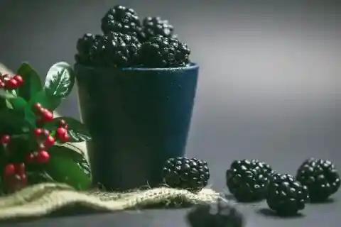 Blackberries
