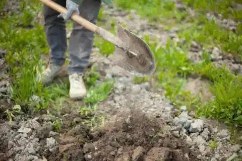 Digging Deeper 