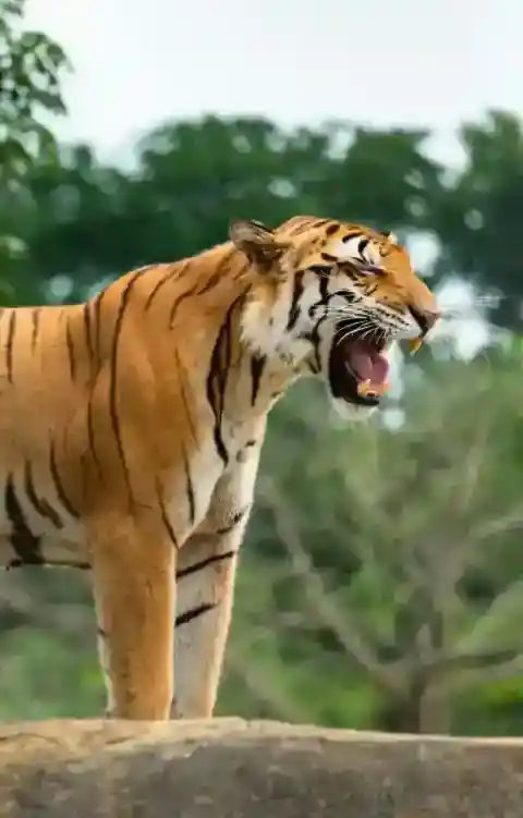 近づくのが怖い