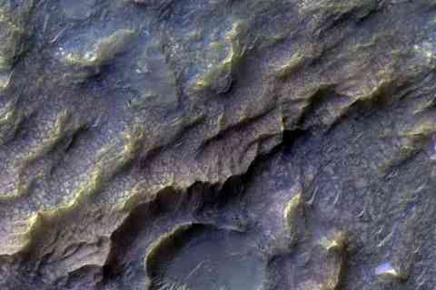 Dragon Skin