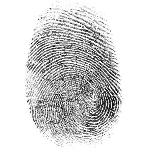 Is It True That No Two Fingerprints Are the Same?