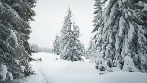 Winter Was Coming