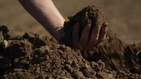 Digging In