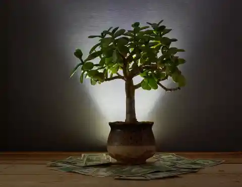 Is There Any Money to be Made from Investing in Feng Shui?