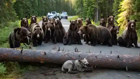 An Unlikely Sight