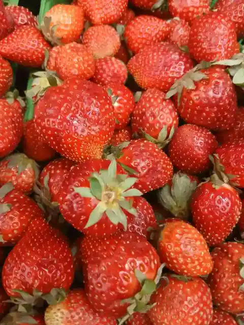 Strawberries