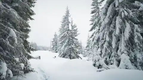 Winter Was Coming