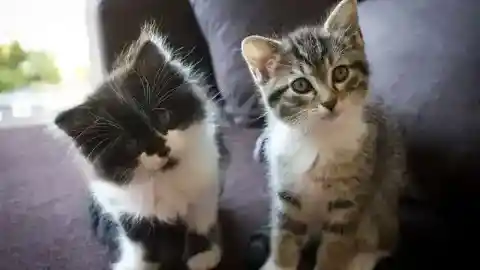 良いルーティン