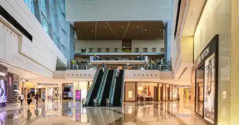 Nuevo Trabajo, Nueva Vida