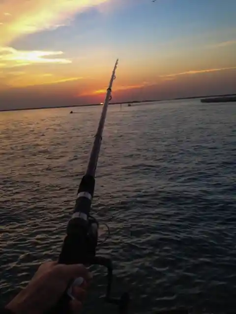 Casting Her Line