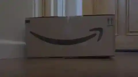 The Plan Was In Motion