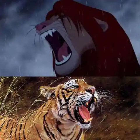 Simba Roars Like a Tiger