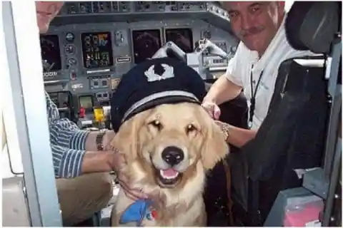 Aye Aye Captain!