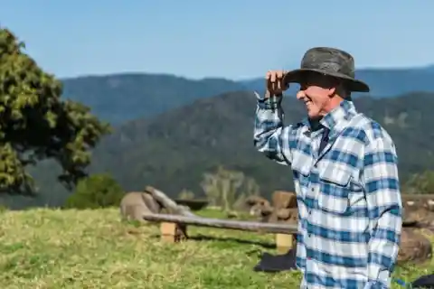 On The Farm