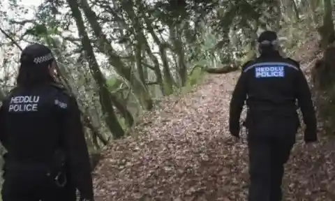 What Was In Store For Him