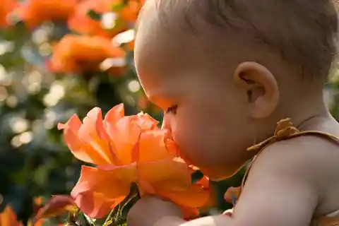 Comforting Scents