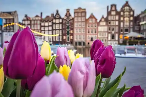 4 Facts About Amsterdam You Probably Didn't Know