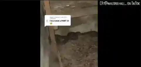 Snake Panic: Trapped in the Underground