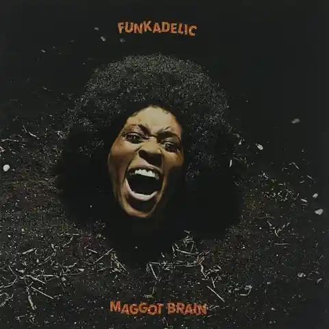What Other Band Is A Sister Act To Funkadelic?