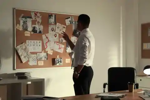 The Private Investigator