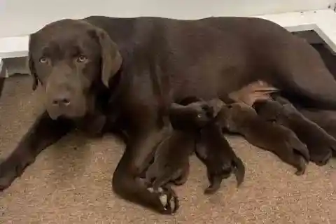 明らかになった12の小さな手がかり