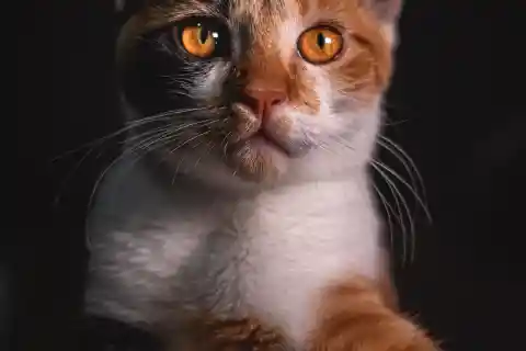 Creating A Balance