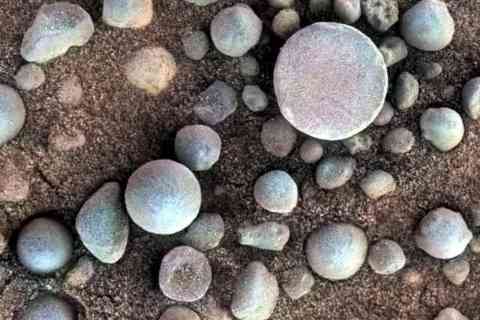 Blueberries on the Red Planet