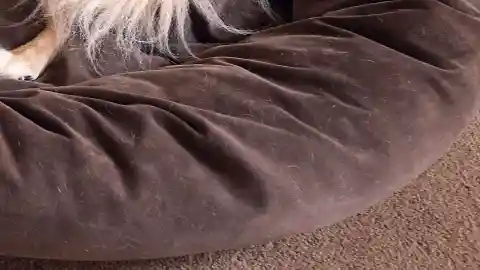 Taking A Closer Look