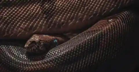 A Horrifying Realization