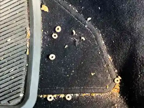 Avoid Crumbs and Keep Your Car Cleaner