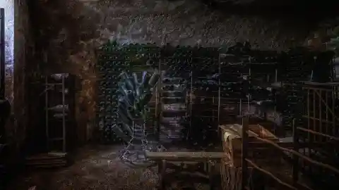 Working In The Basement