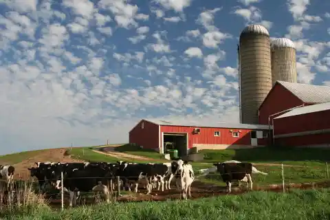 Which U.S. state produces the most dairy?